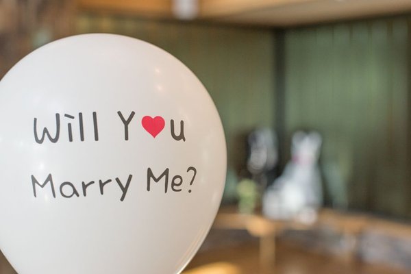 proposal ideas with pets